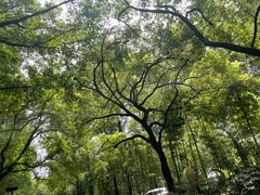 -柳莺湖上·湖景餐厅·江南菜(西湖店)