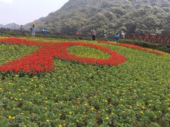 -广州市石门国家森林公园