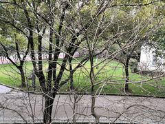 -上海银珠苑度假村-地面停车场