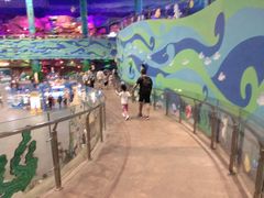 -青岛嘉年华主题乐园