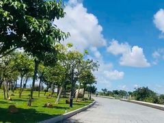 -芒洲湿地公园