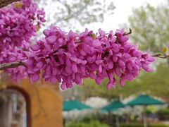 -北京欢乐谷