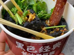 -黑色经典臭豆腐·湖南特产(坡子街店)