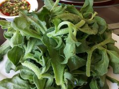 -野菌皇海景野生菌火锅(滨海大道店)