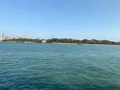 -八婆婆烧仙草(中山路店)