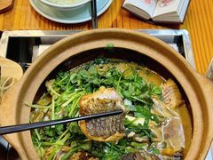 -九道菜有鸡鱼头(石鼓路店)