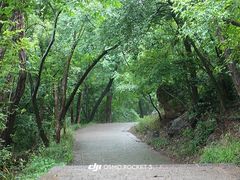 -紫金山索道-售票处
