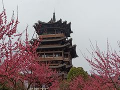 -杭州半山国家森林公园