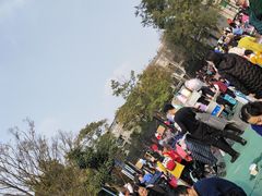 -两河城市森林公园