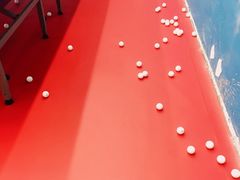 -大凤凰乒乓球馆