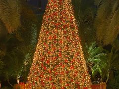 -广州富力丽思卡尔顿酒店