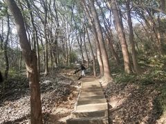 -上海佘山国家森林公园天马山园