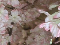-嘉悦汗蒸时代(曙光路店)