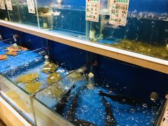水产区-姜君·千岛湖鱼头馆(浦东大道店)