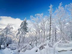 -哈尔滨热雪奇迹