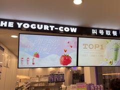 -一只酸奶牛(洪崖洞11楼店)