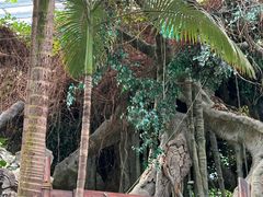 -龙达温泉生态城