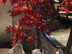 -红辣椒·川菜·火锅(大洋中心店)