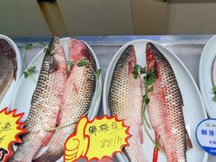 -清雅臻品·竹林院落·新派青岛菜(崂山店)