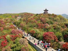 -贵州百里杜鹃风景名胜区