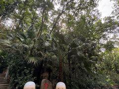 -深圳国际园林花卉博览园