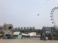 门面-大连森林动物园