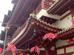 -新加坡佛牙寺龙华院