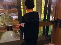 -上海滴水湖皇冠假日酒店