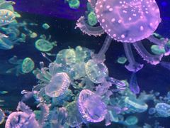 -南昌融创海世界