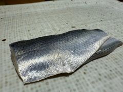 -镹·鱼料理  国产鱼使用店