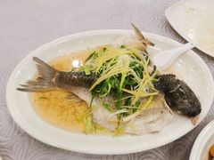-粤·向群饭店(龙津东路总店)