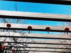 -白马涧龙池景区