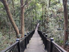 -杭州半山国家森林公园