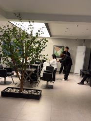 -付军剪艺JF ProSalon