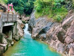 -广州白江湖森林公园