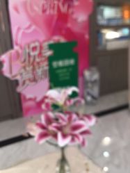 -康缇雅美容养生会所