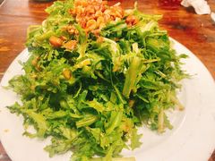 凉拌苦菊-私房小厨(康城路店)