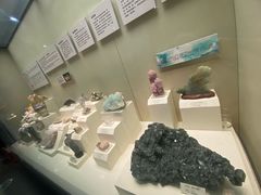 -天津自然博物馆