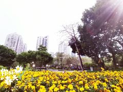 -深圳国际园林花卉博览园