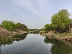 -尚贤河湿地