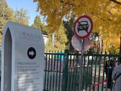 -三里屯东五街银杏大道