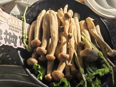 -华晟山城火锅(开发区港西东阁里店)