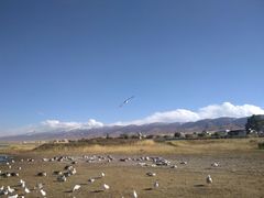 -青海湖国家重点风景名胜区