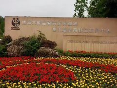 -都江堰中华大熊猫苑