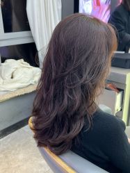 -藤野造型烫发染发