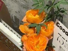 -良木缘咖啡西餐(川大店)