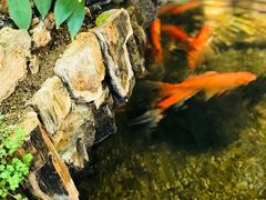 -马凯餐厅(长椿街店)