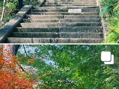 -大金鹰园