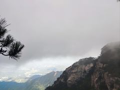 -半天妖烤鱼(绿地大融城店)