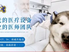 -康成宠物医院24H·CT·核磁共振